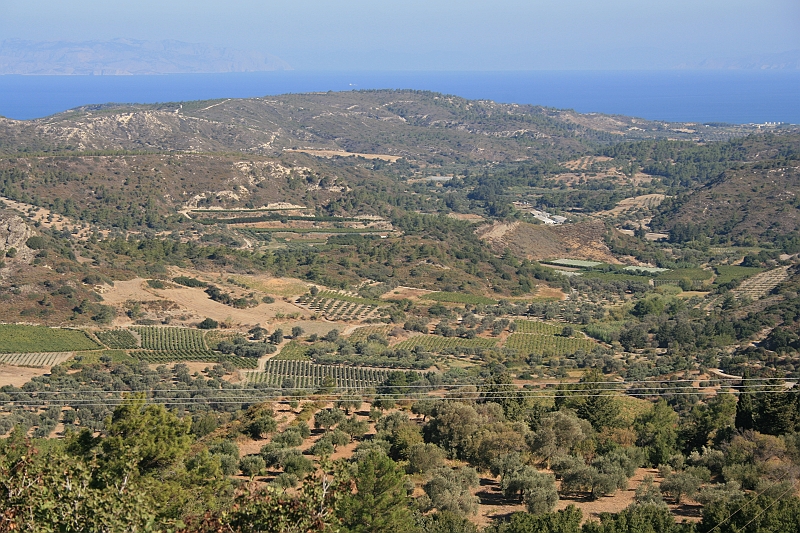 Rodos 2007 772